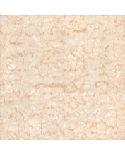 Granite Floor Tile TS2-615